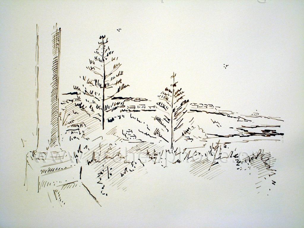 Original image